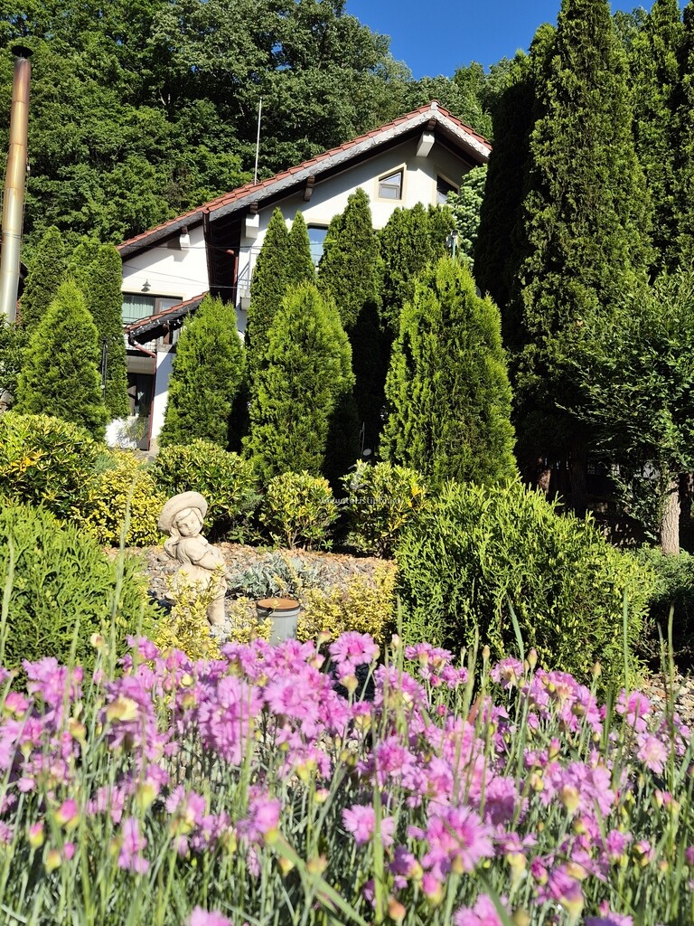 Natura Apartmens