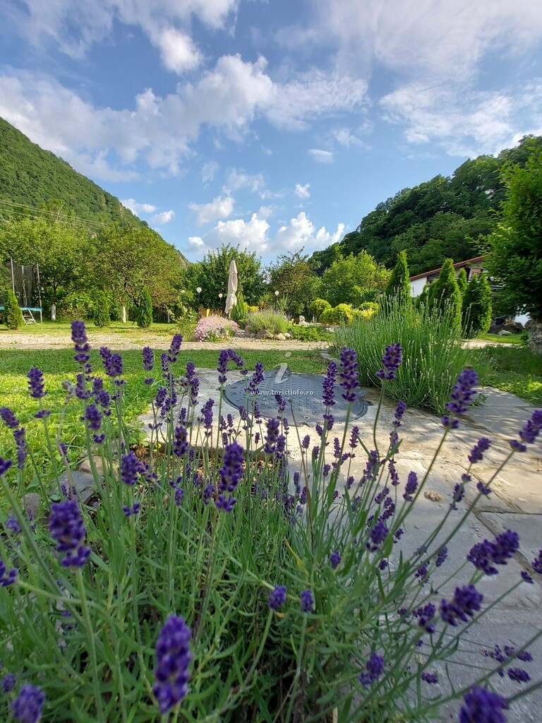Natura Apartmens