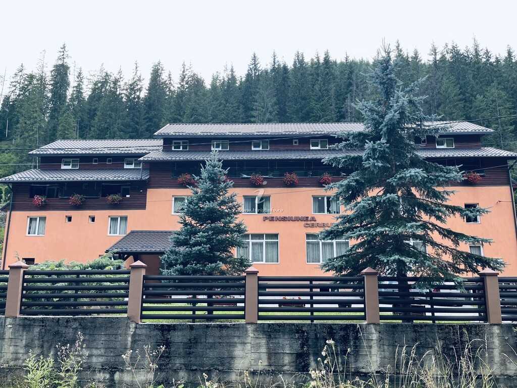 Pensiunea Cerbul