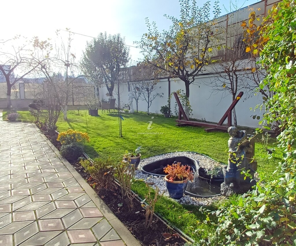 Casa Narciselor