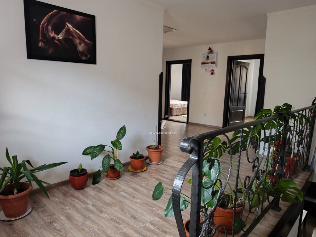 Casa Alin