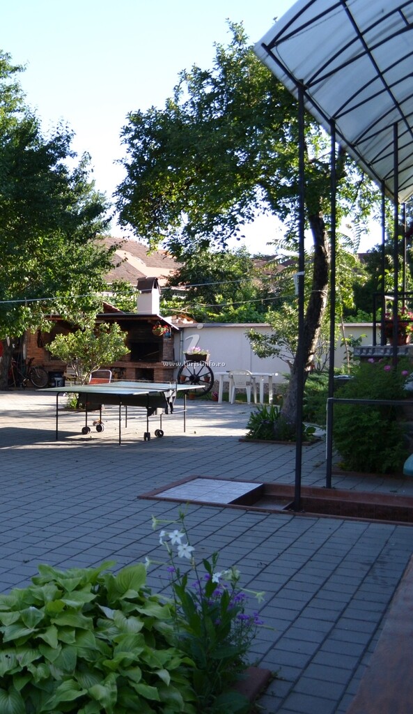Casa Pleșca