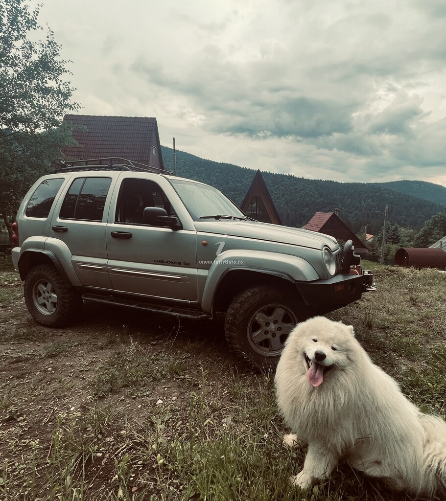 A-frame Macko's Cabin