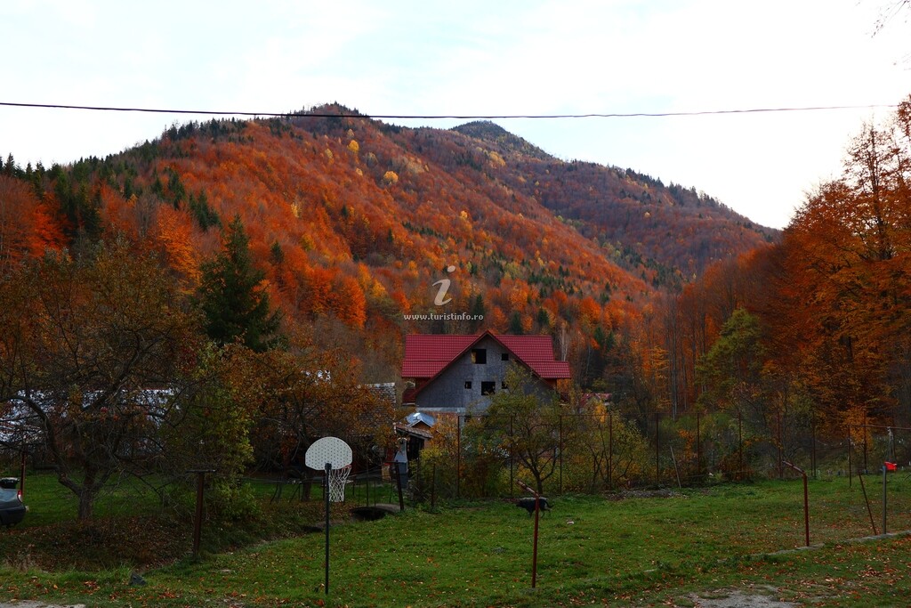 Pensiunea 14 Scaune - Cașoca