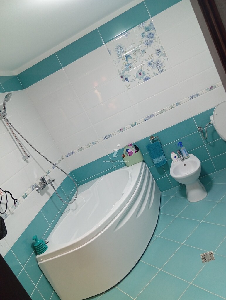 Casa Coșnencuța din Bucovina