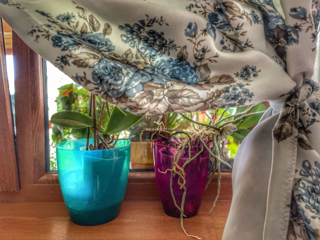 Casa Tiny Mara