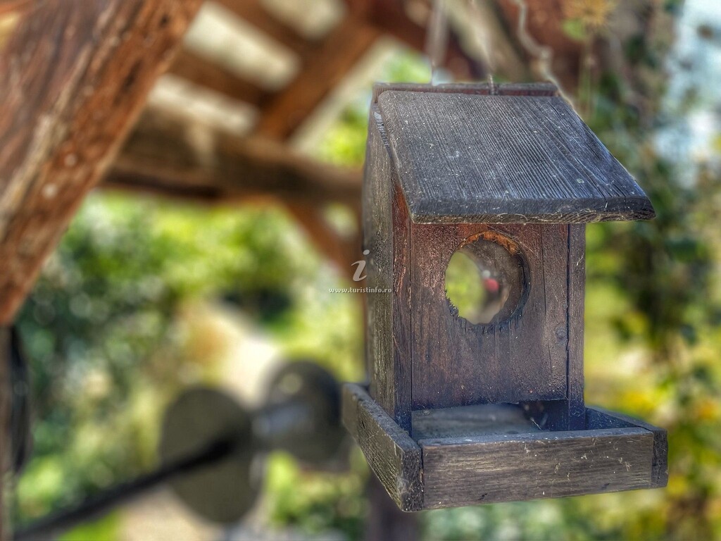 Casa Tiny Mara