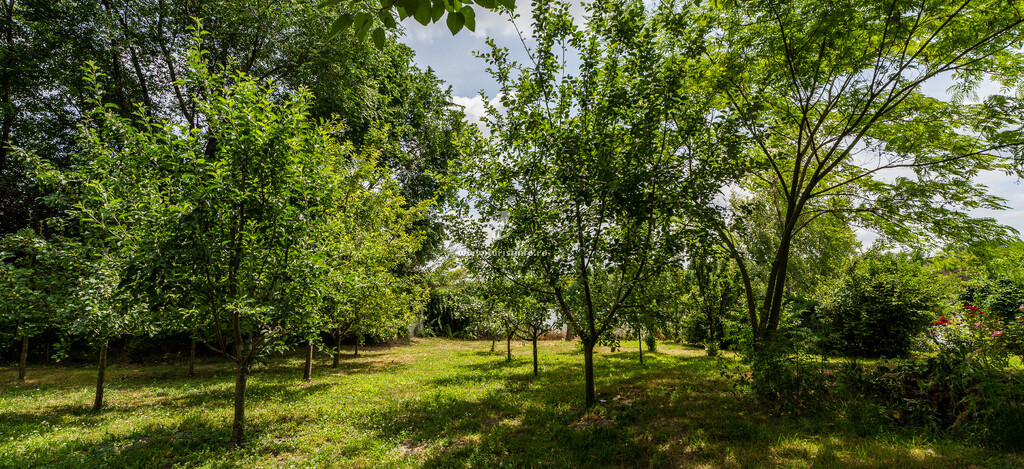 Casa de vacanță Lake Experience