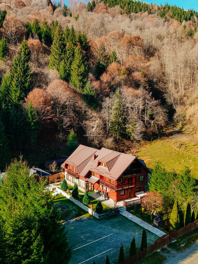 Casa de vacanță Garofița