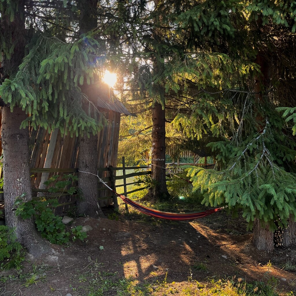 Cabana Dumbrava Călimanilor