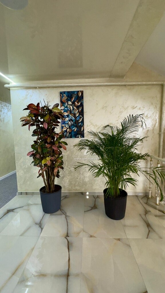 Hotel Lebada