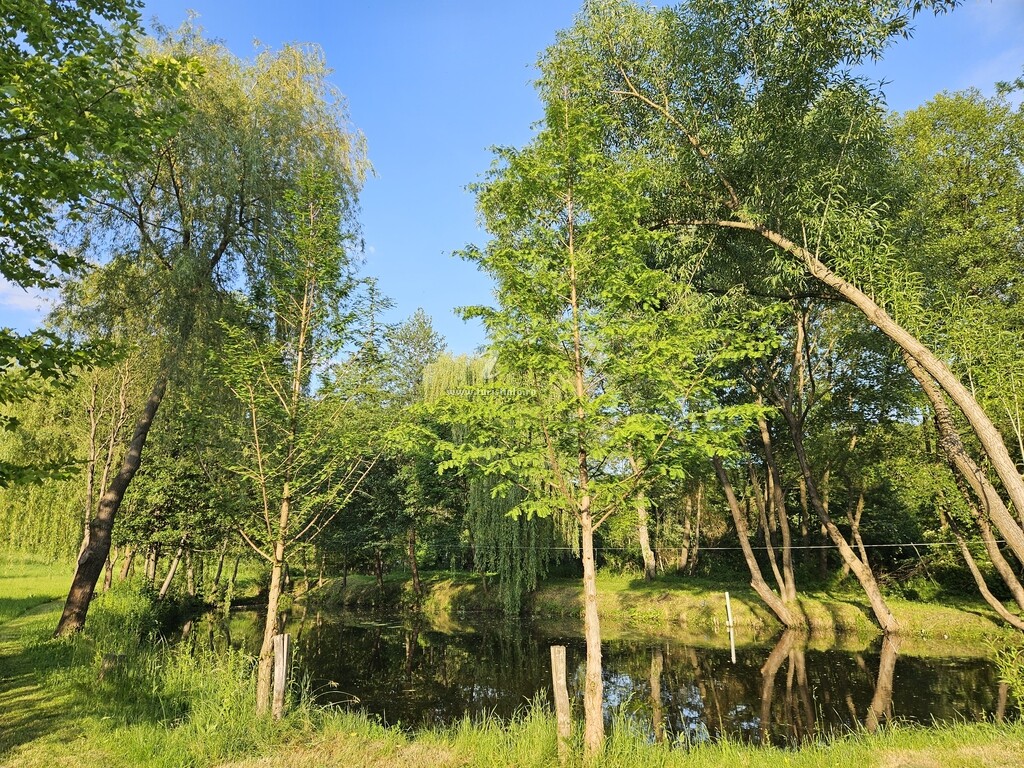 Vila Parcul Manga