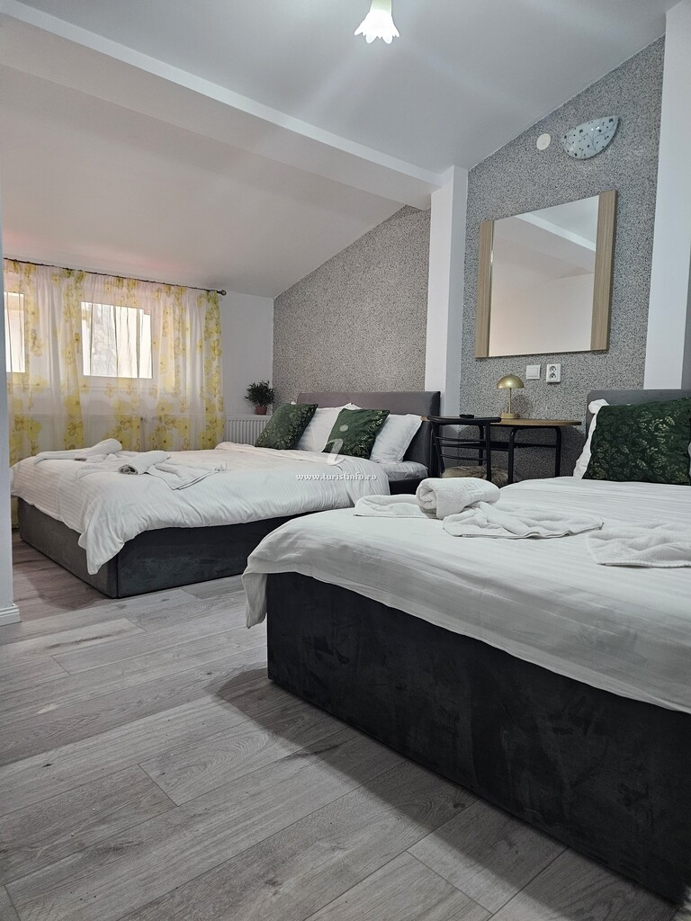 Camere de închiriat Daria