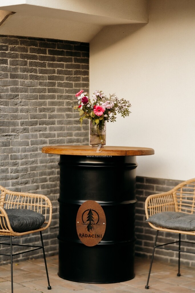 Hotel-Apartament Rădăcini