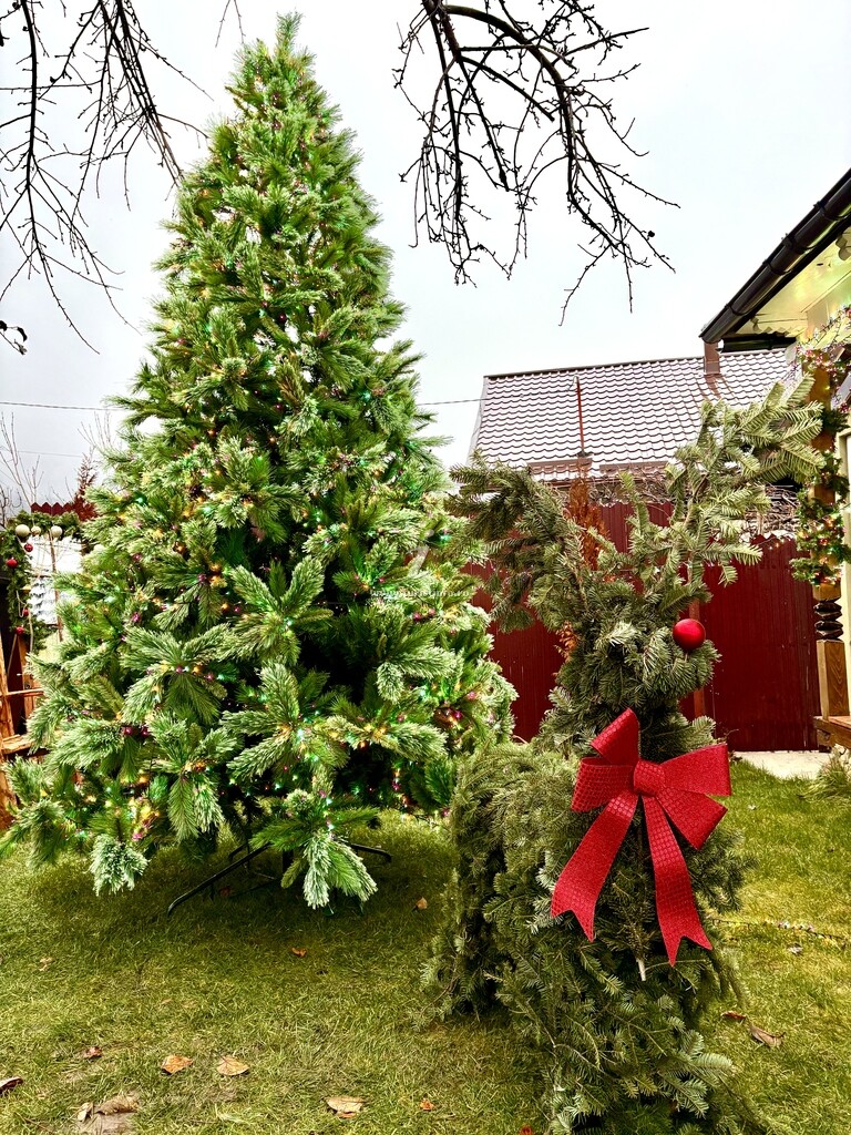 Bungalow Bârlogul Urșilor