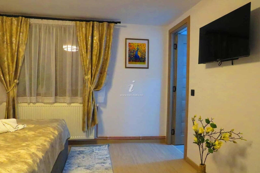 Casa Alex