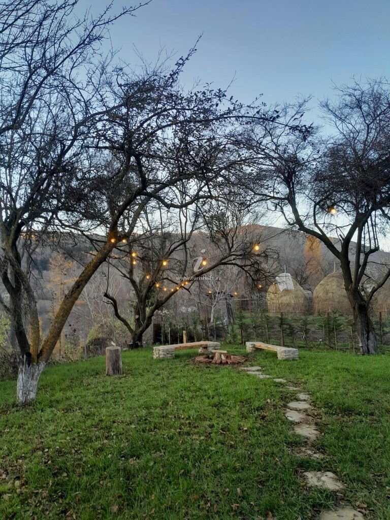 Doftana 609