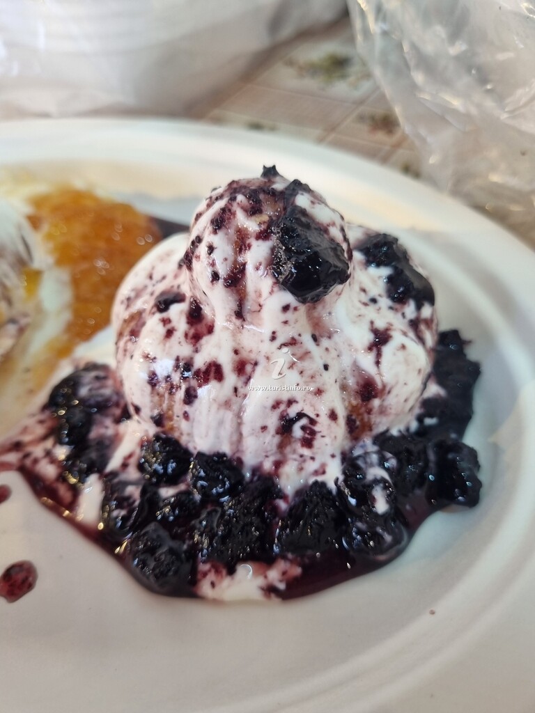 Vila Elisabeth