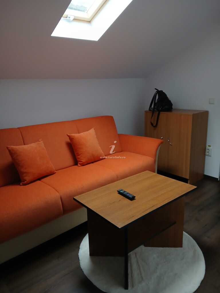 Mini Apartament