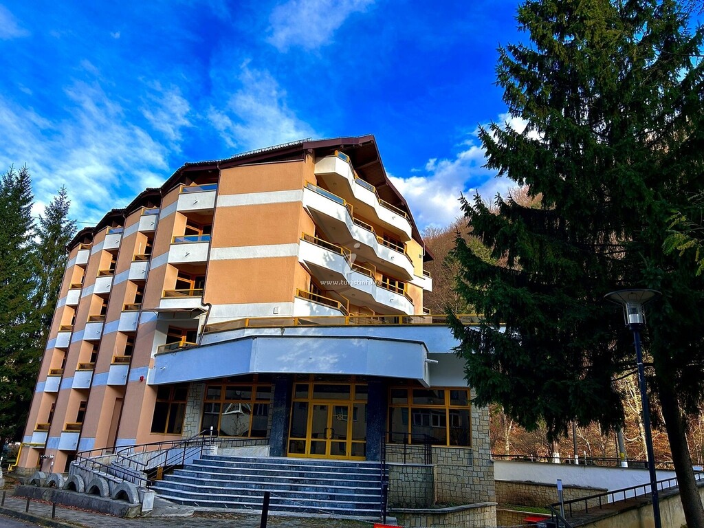Camere de închiriat Montana Inn