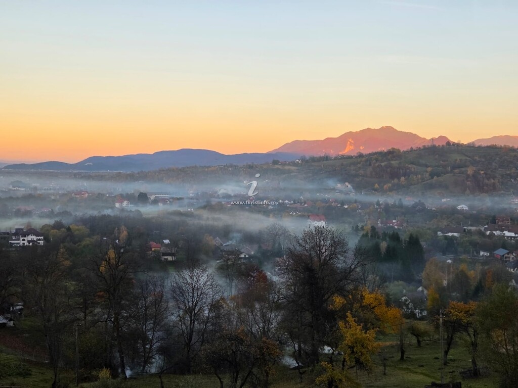 Panoramic View