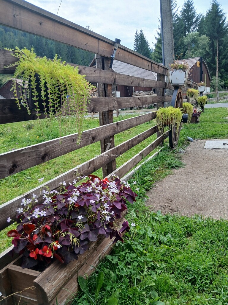 Casa Ianis