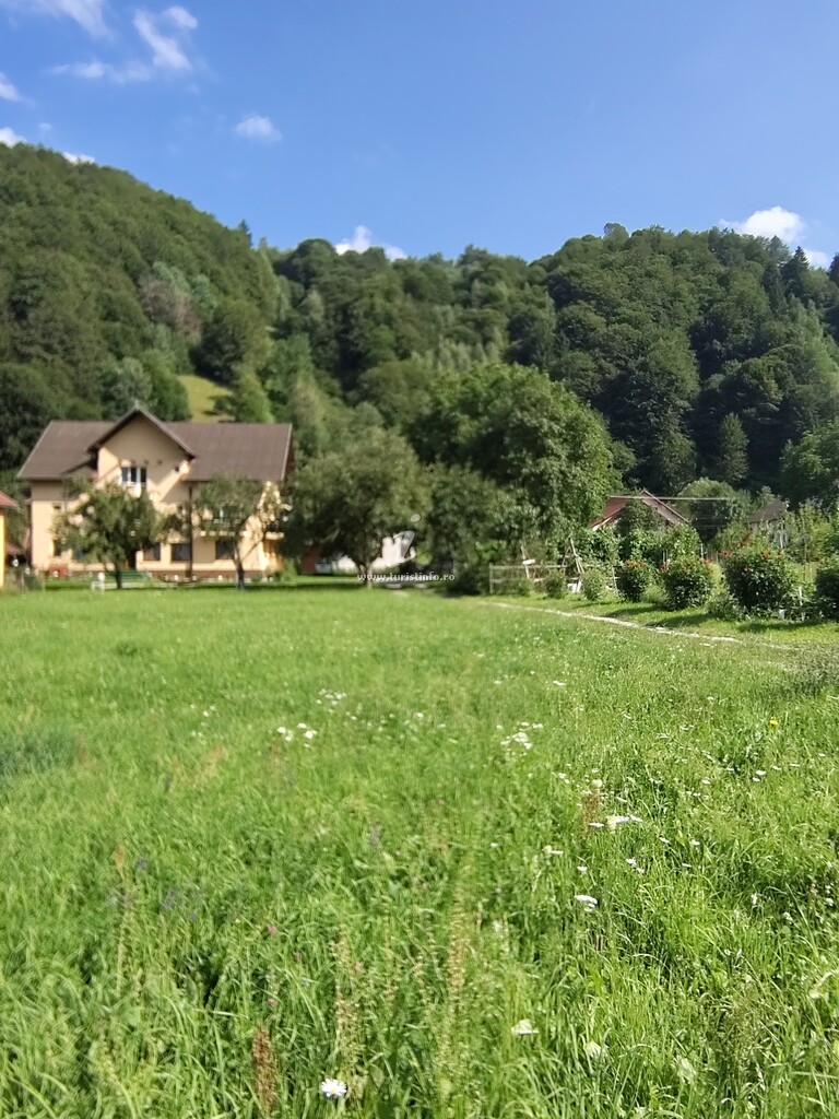 Casa Cheia Branului