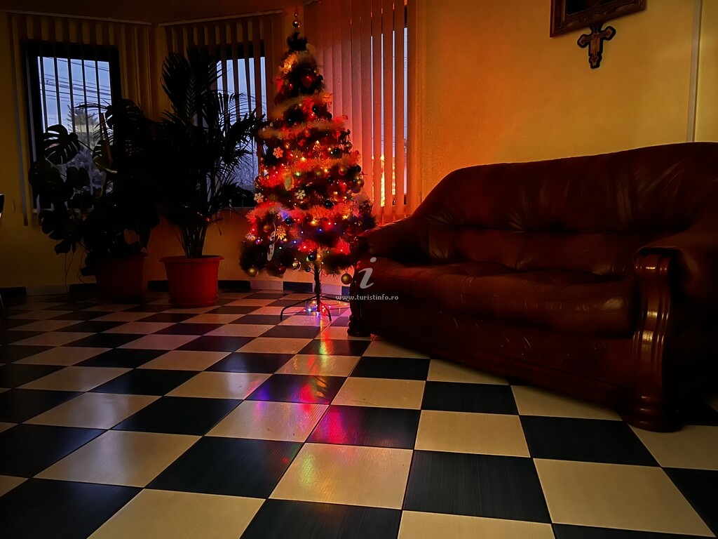 Vila Ovi Salin