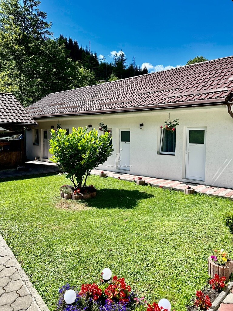 Camere de închiriat Casa Popa's