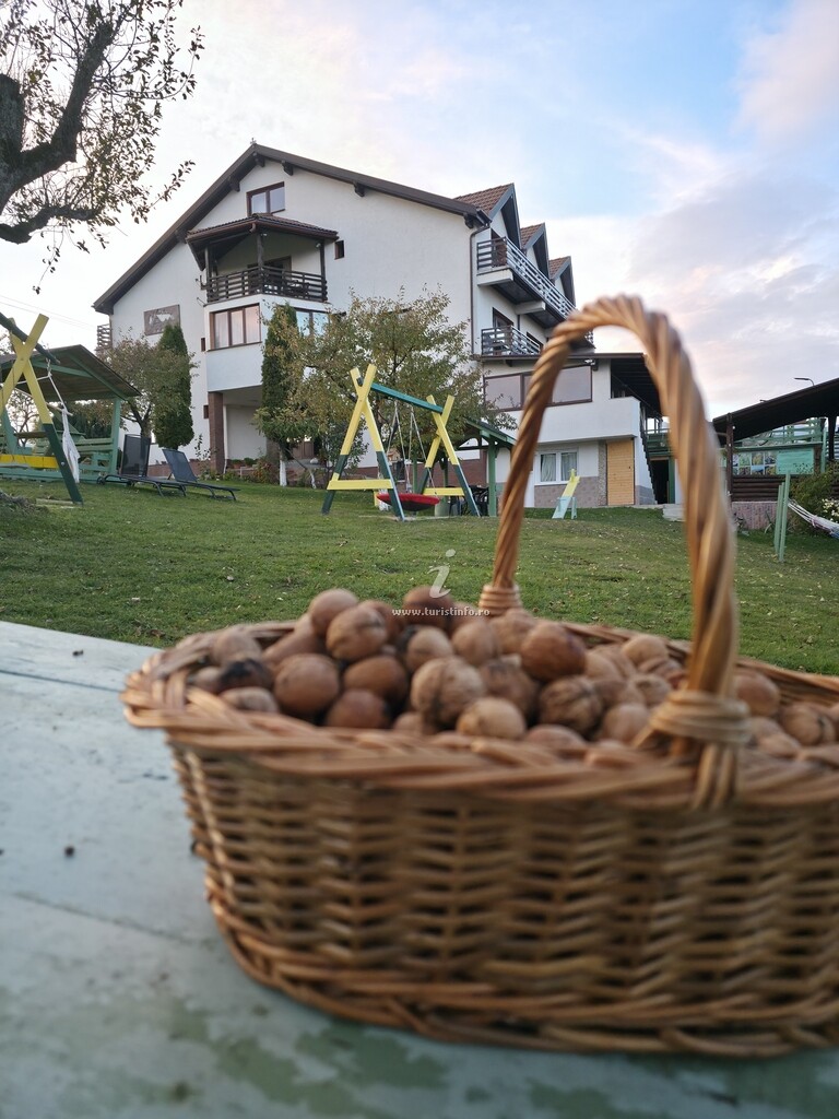 Pensiunea Tăbăcaru