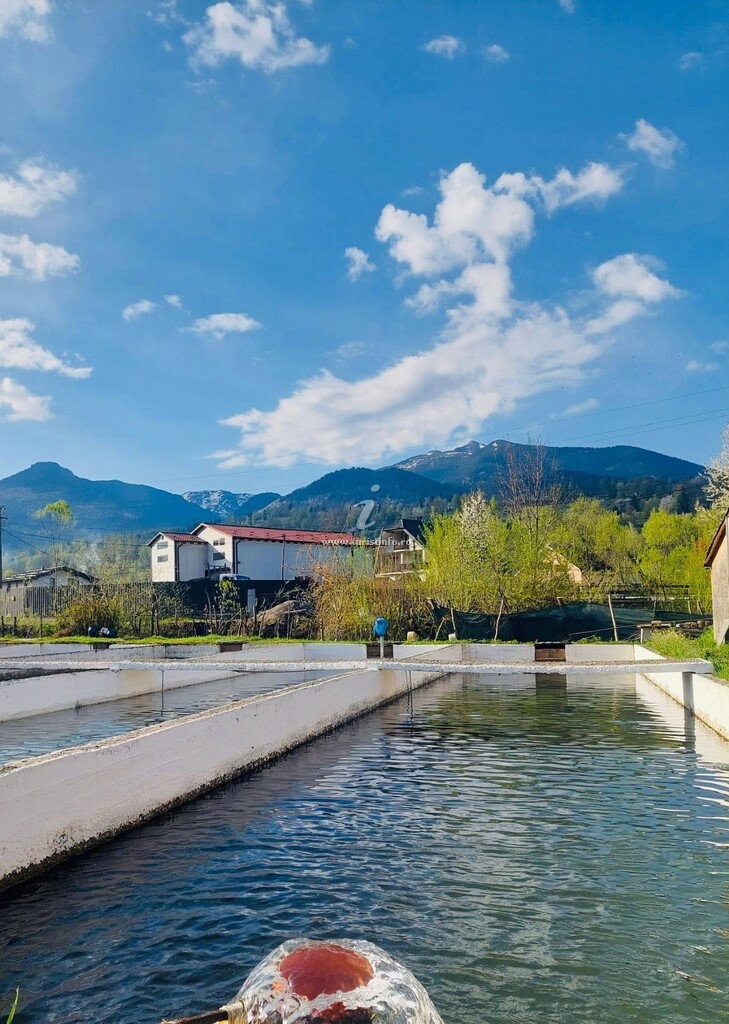 Pensiunea Cascada