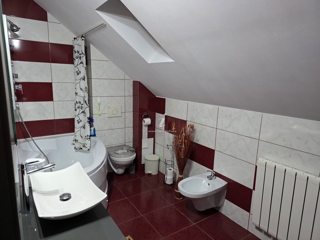 Apartament Mountain View