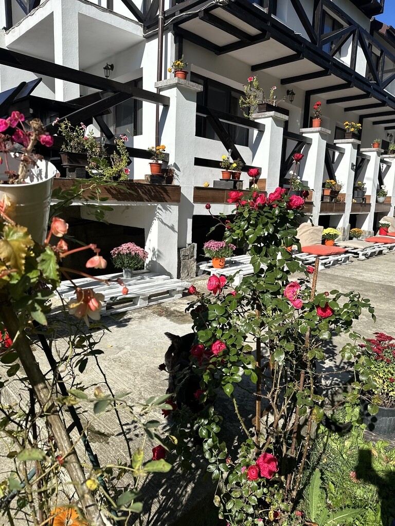 Vila Murmur Chalet