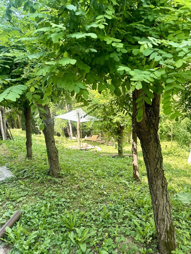 Vila Murmur Chalet