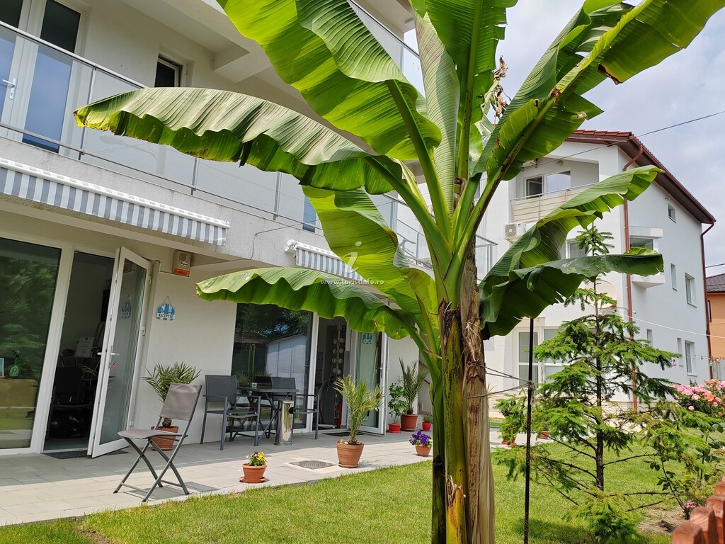 Casa Beyaz