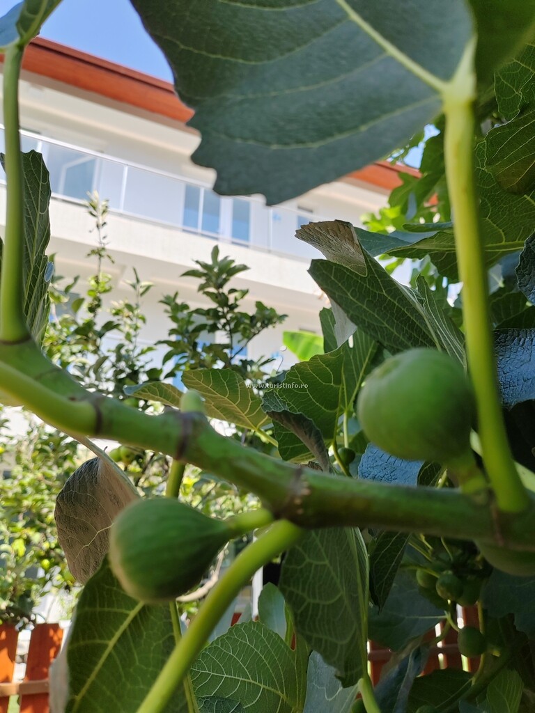 Casa Beyaz