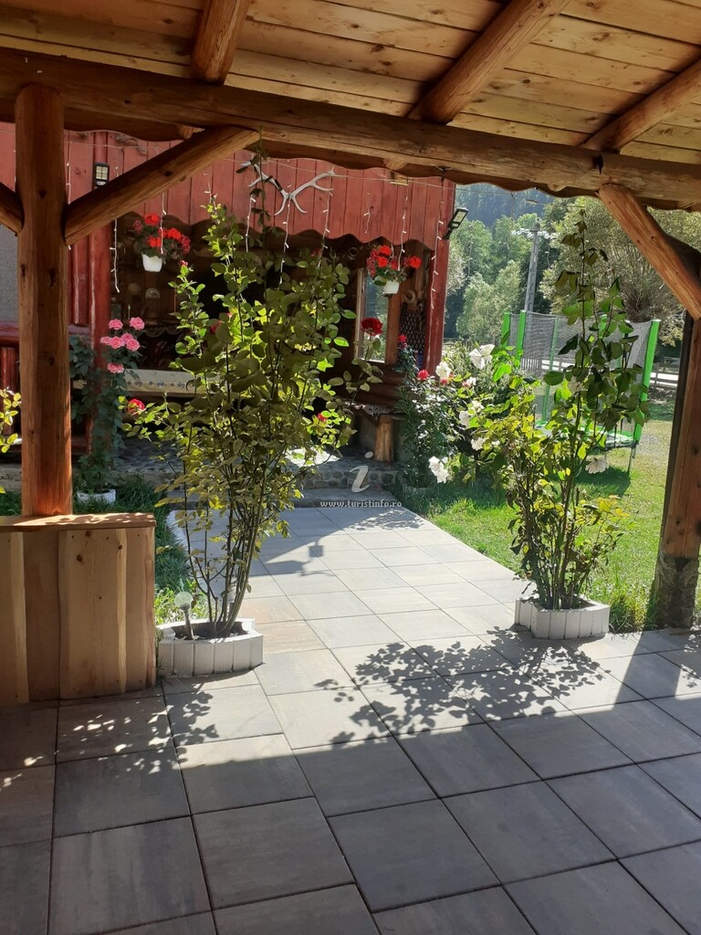 Casa David Cheia
