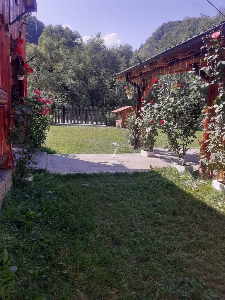 Casa David Cheia