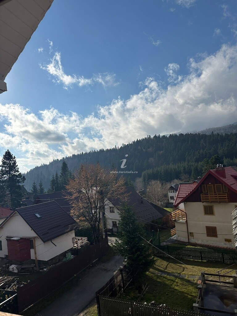 Cabana Cheița 305