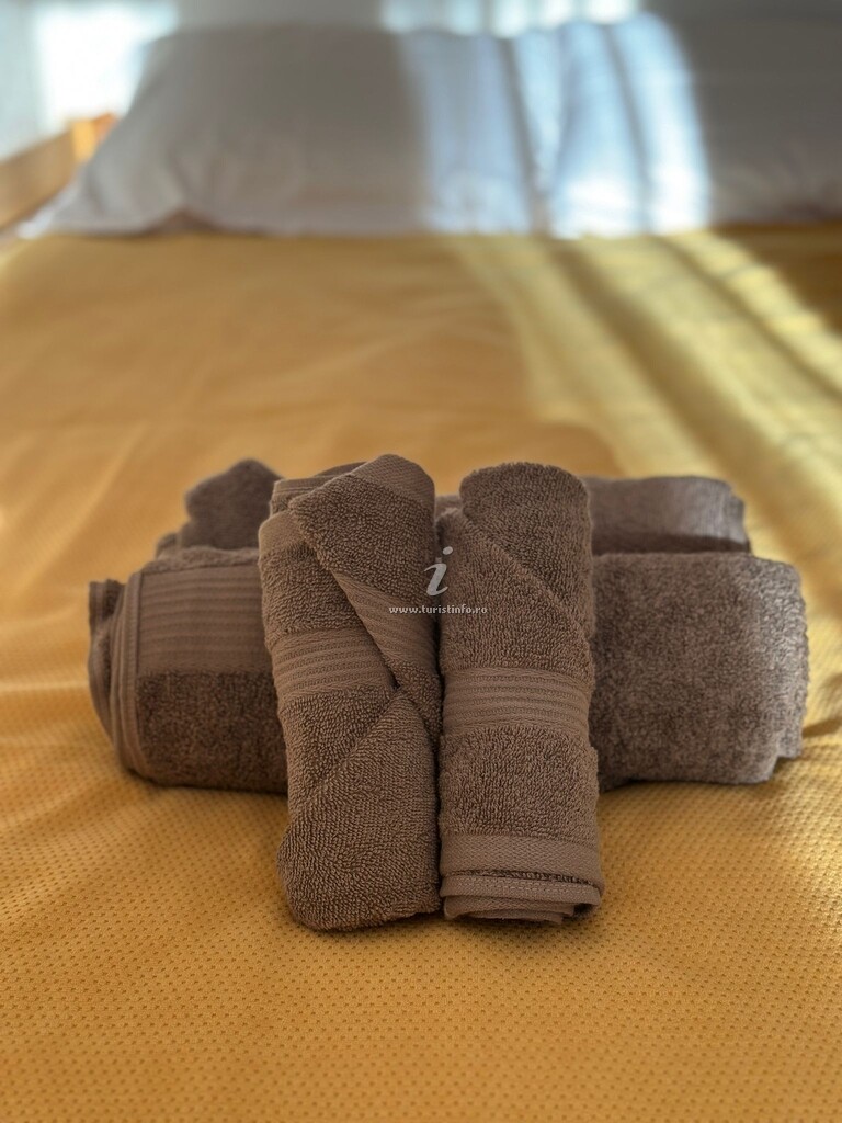 Cabana Cheița 305