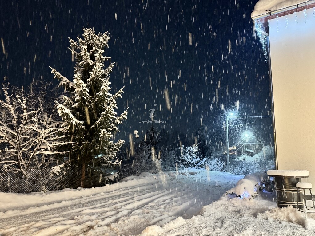 Pensiunea Medeea