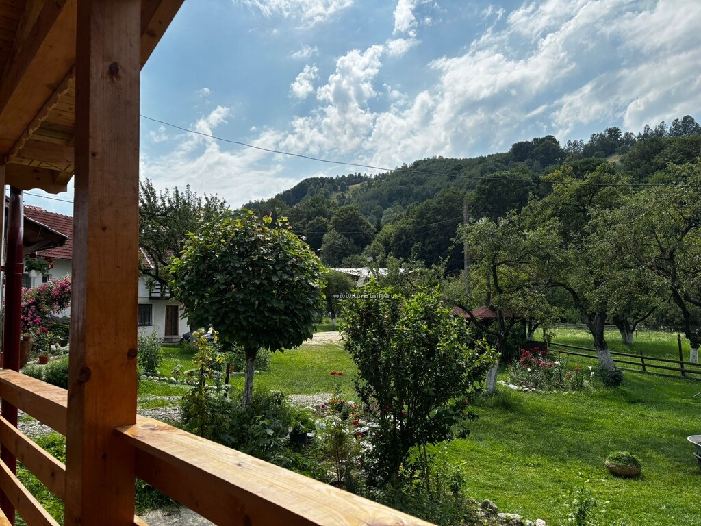 Casa Albă