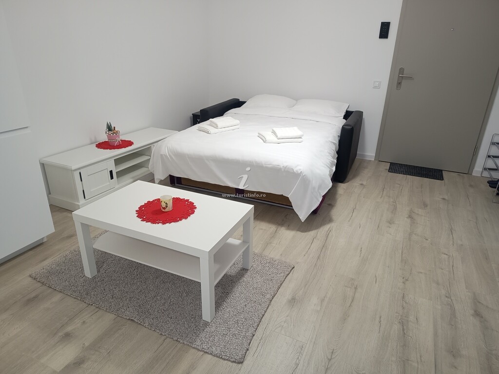 Apartament Open space cu vedere Postavaru