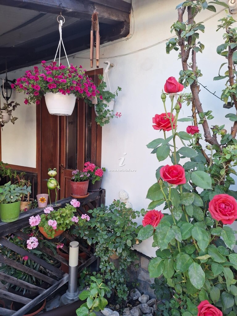 Casa Izvor