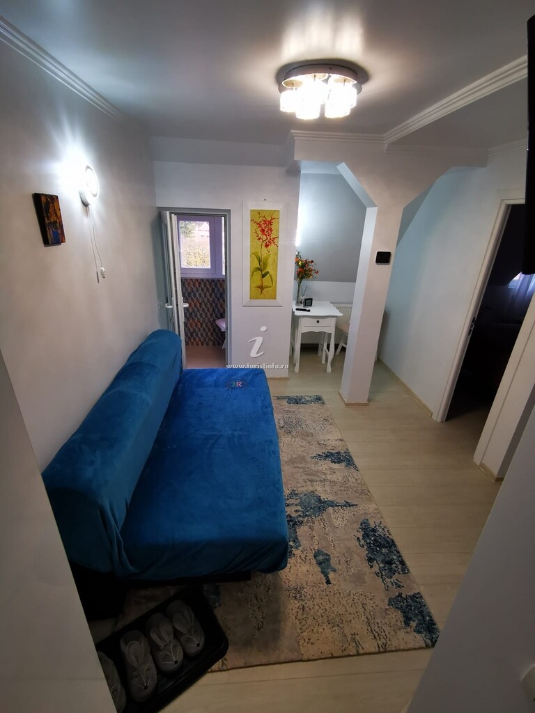 Apartament Central