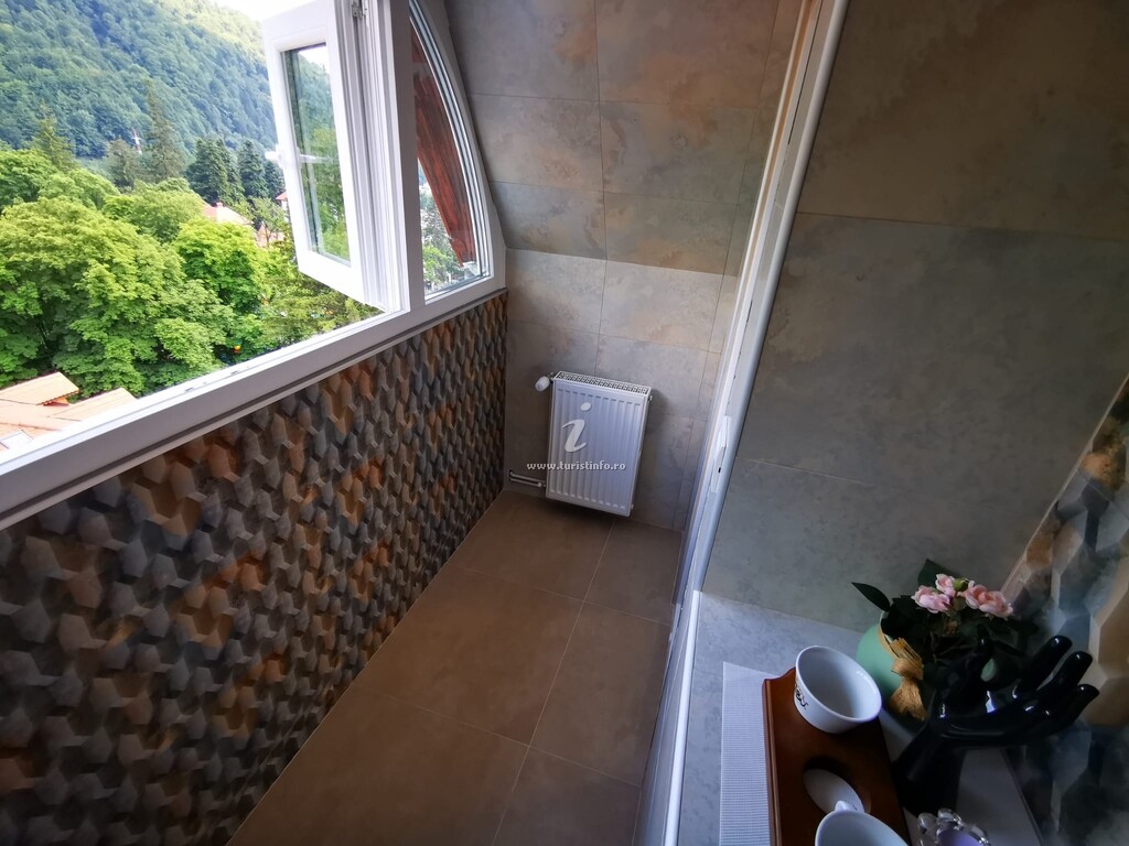 Apartament Central