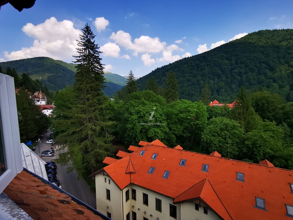 Apartament Central