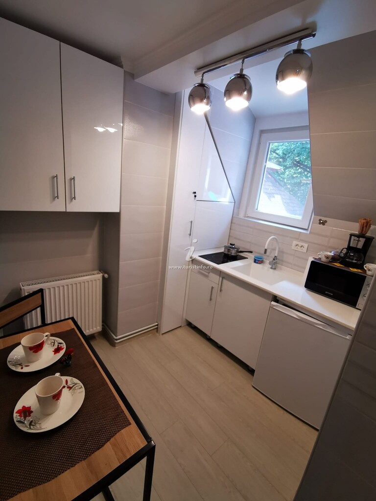 Apartament Central