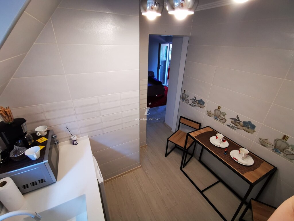 Apartament Central