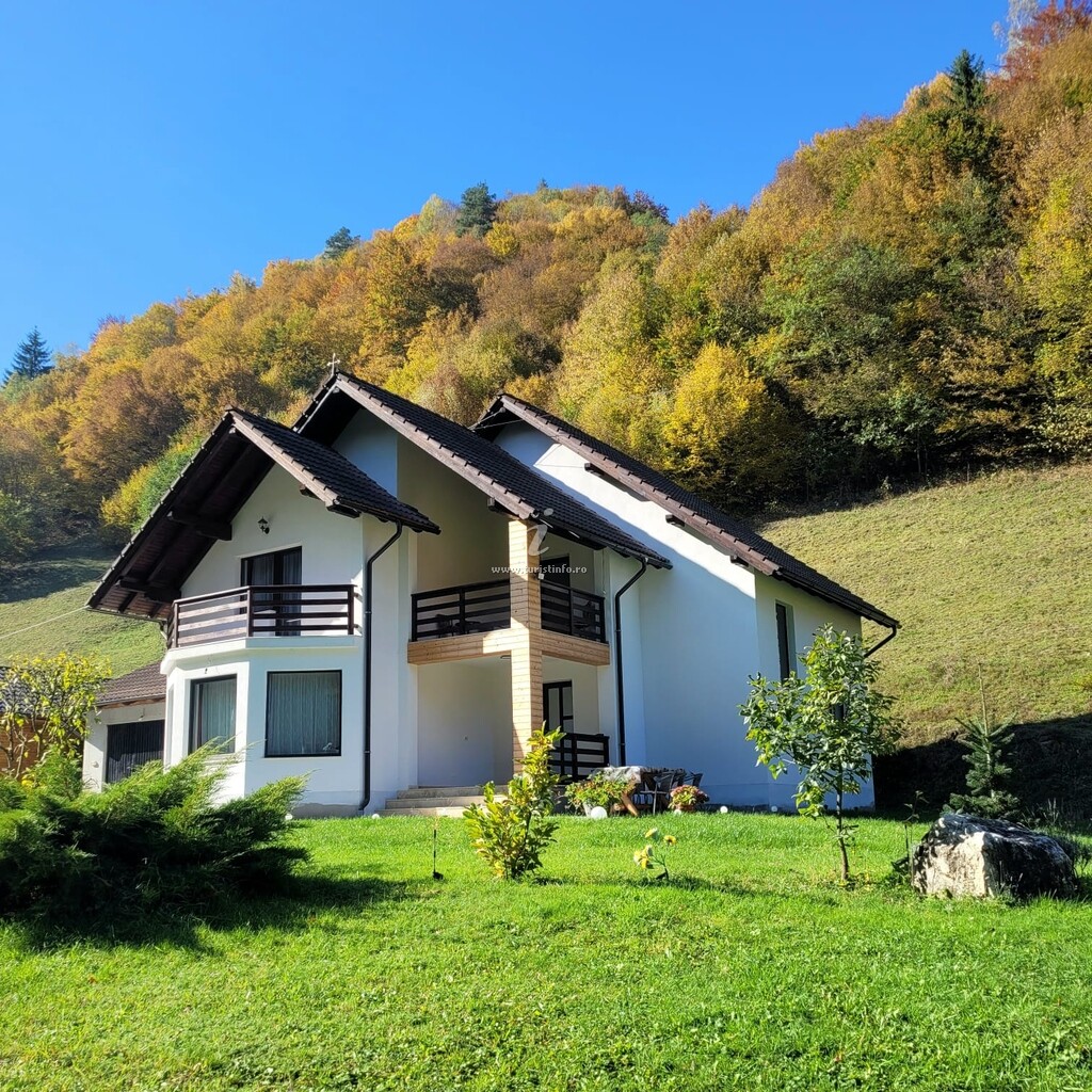 Cabana Valea Muntelui